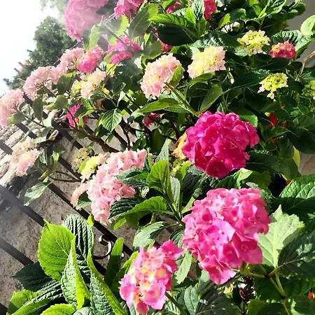 Case de vacanță Sweet Kerasias *