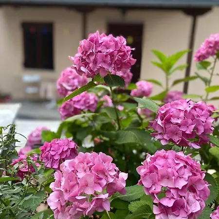 Ferienhaus Sweet Kerasias *